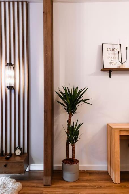Eliss Studio Sinaia Extérieur photo