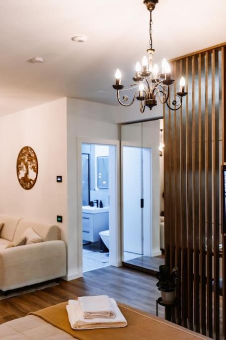 Eliss Studio Sinaia Extérieur photo