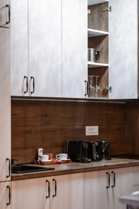 Eliss Studio Sinaia Extérieur photo